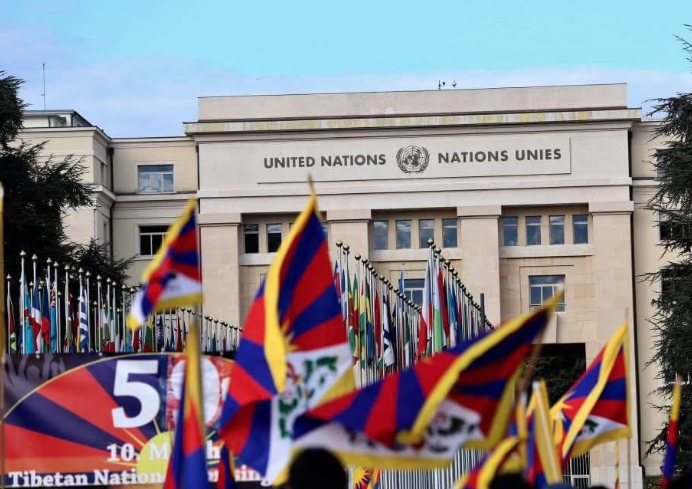 Tibetan flags outside the UN Human Rights Council 